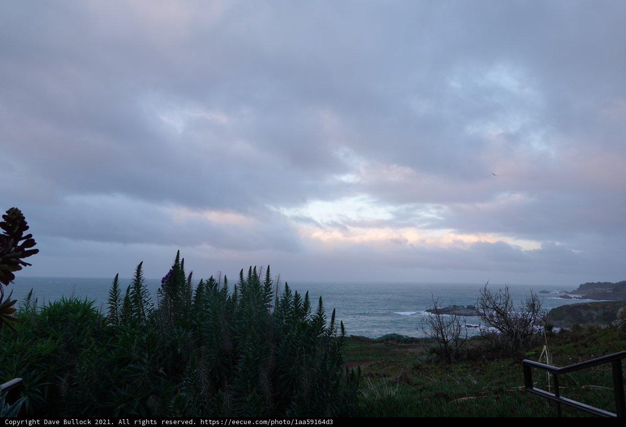 Serene Ocean and Clouds from a Hillside