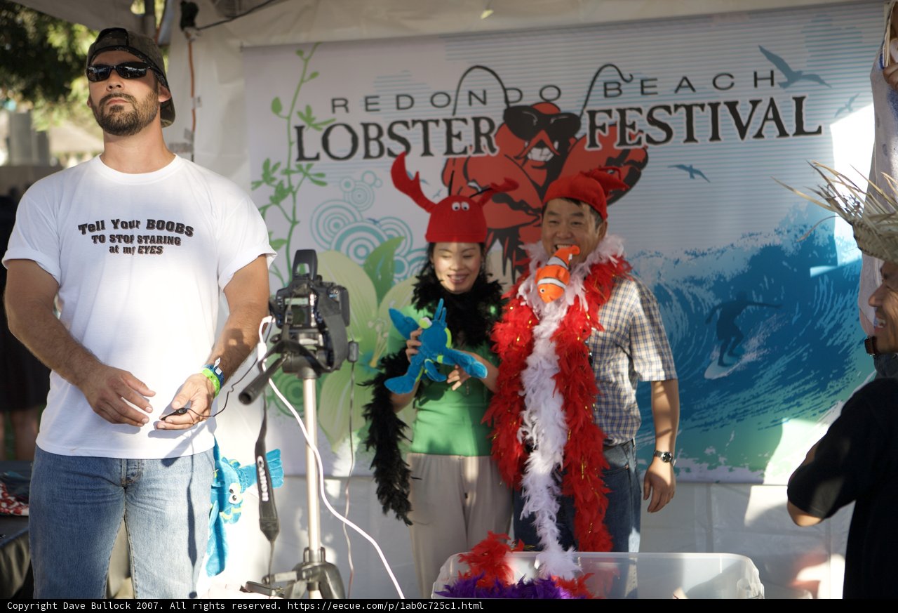 Lobster Festival Fun