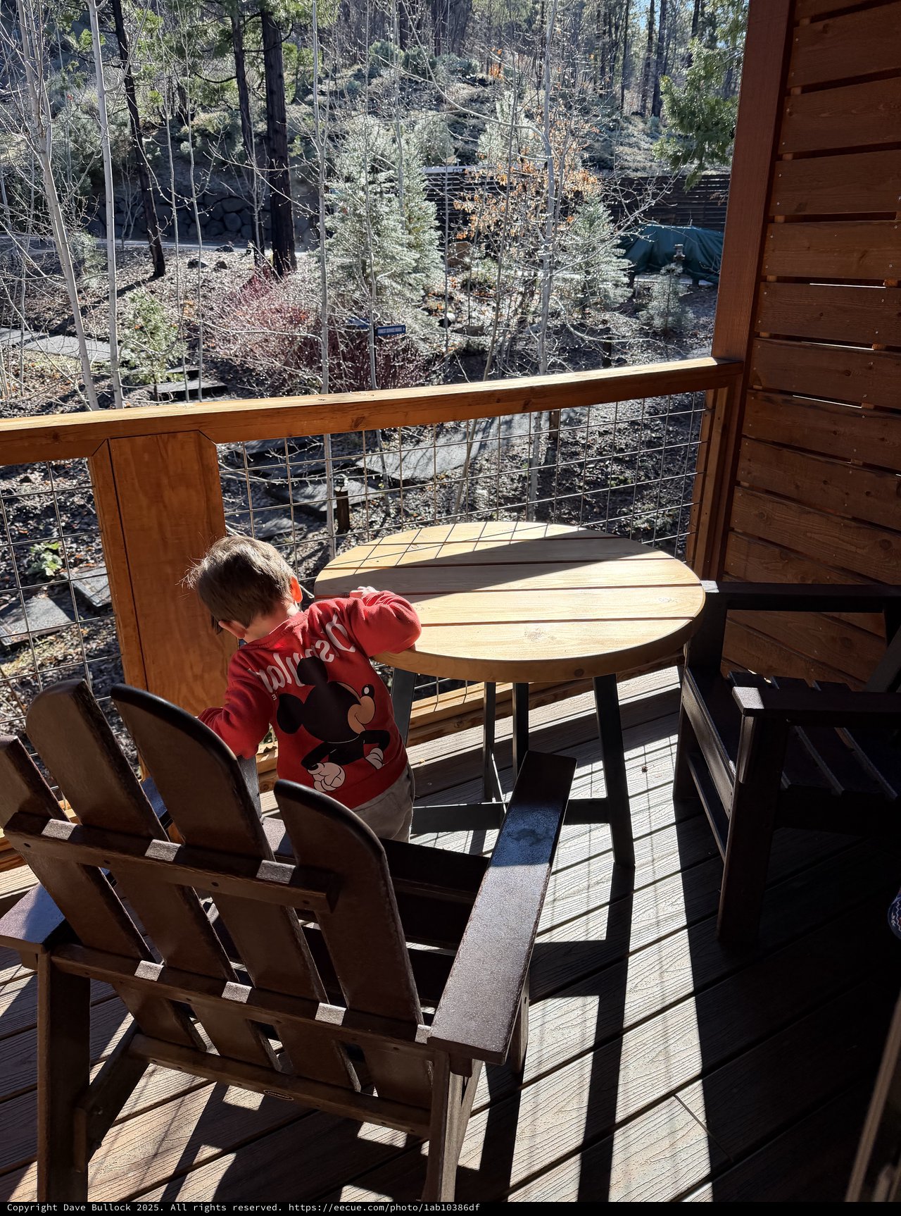 Young Explorer Gazing from Snowy Forest Cabin Deck