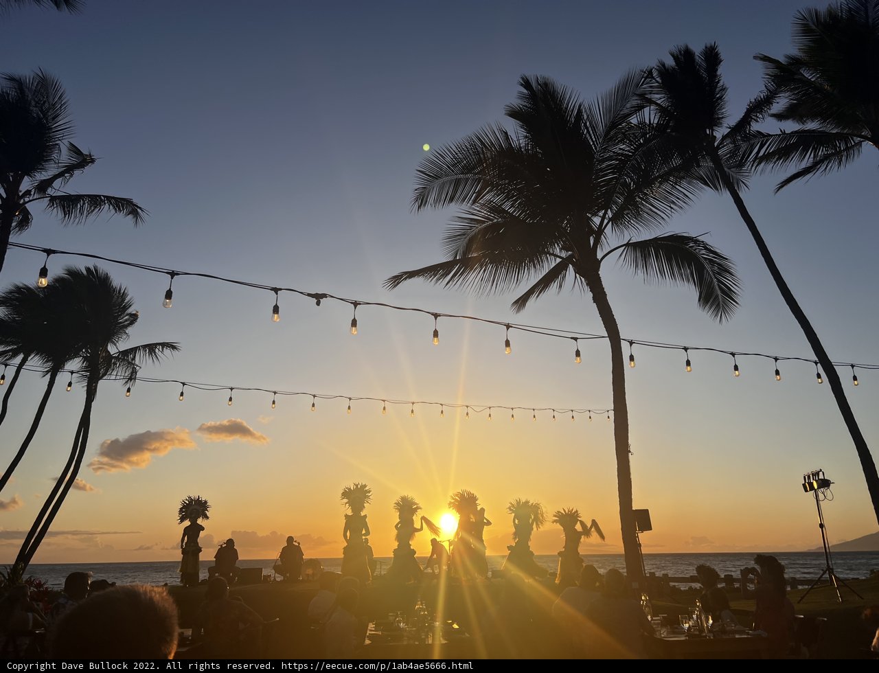 Tropical Sunset Gathering Caption: A group of 21 people silhouetted against the colorful sky, surrounded by palm trees and the serene ocean, enjoying a beautiful sunset on a tropical beach in Maui. The flare of the sun makes it look like a tennis ball in the sky, while some people carry handbags and accessories, adding to the scenic landscape.