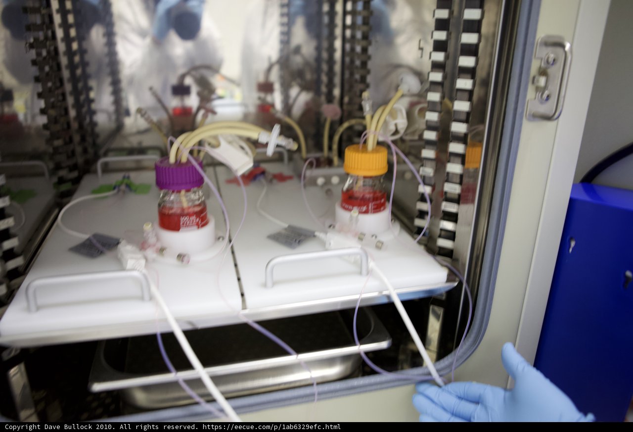 A Scientist's Latest Experiment