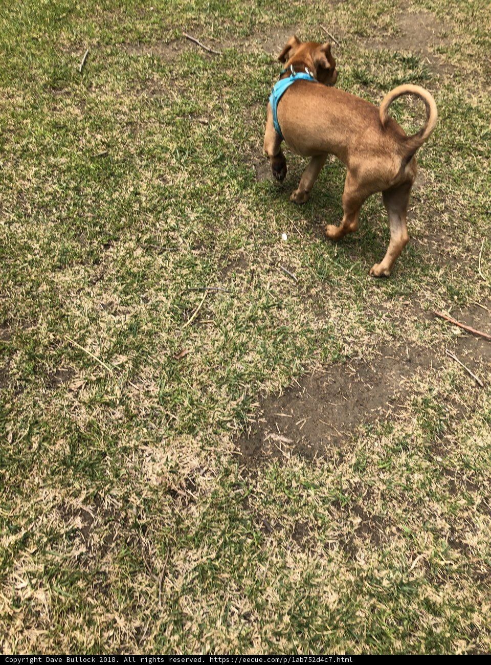 Playtime in the Park