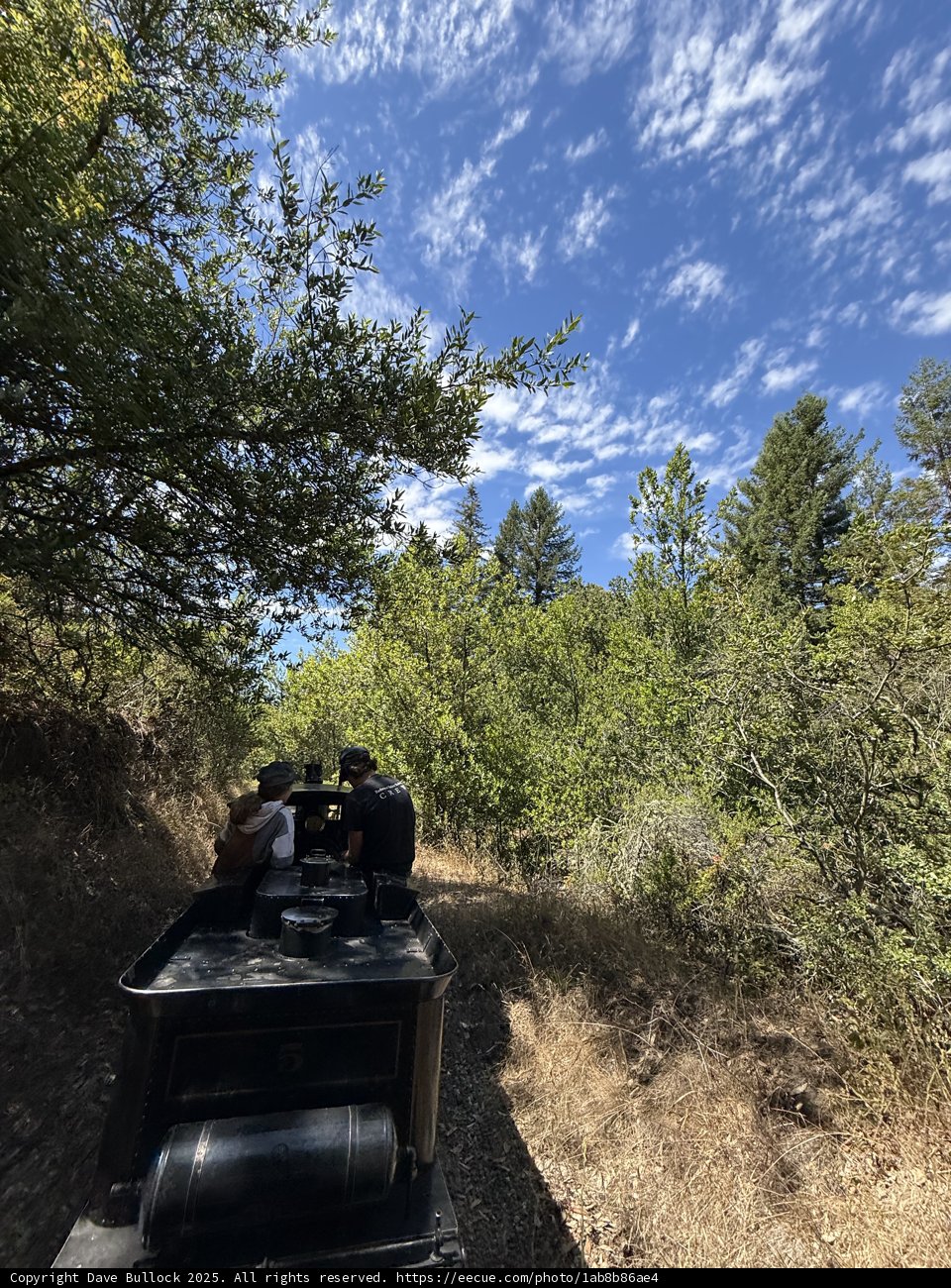 Exploring the Wilderness by Rail