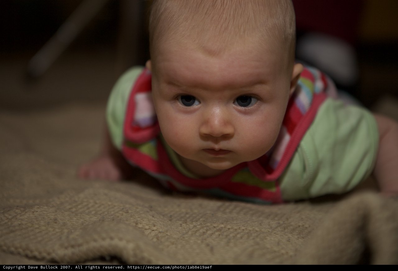 Determined Baby's Intense Tummy Time Stare