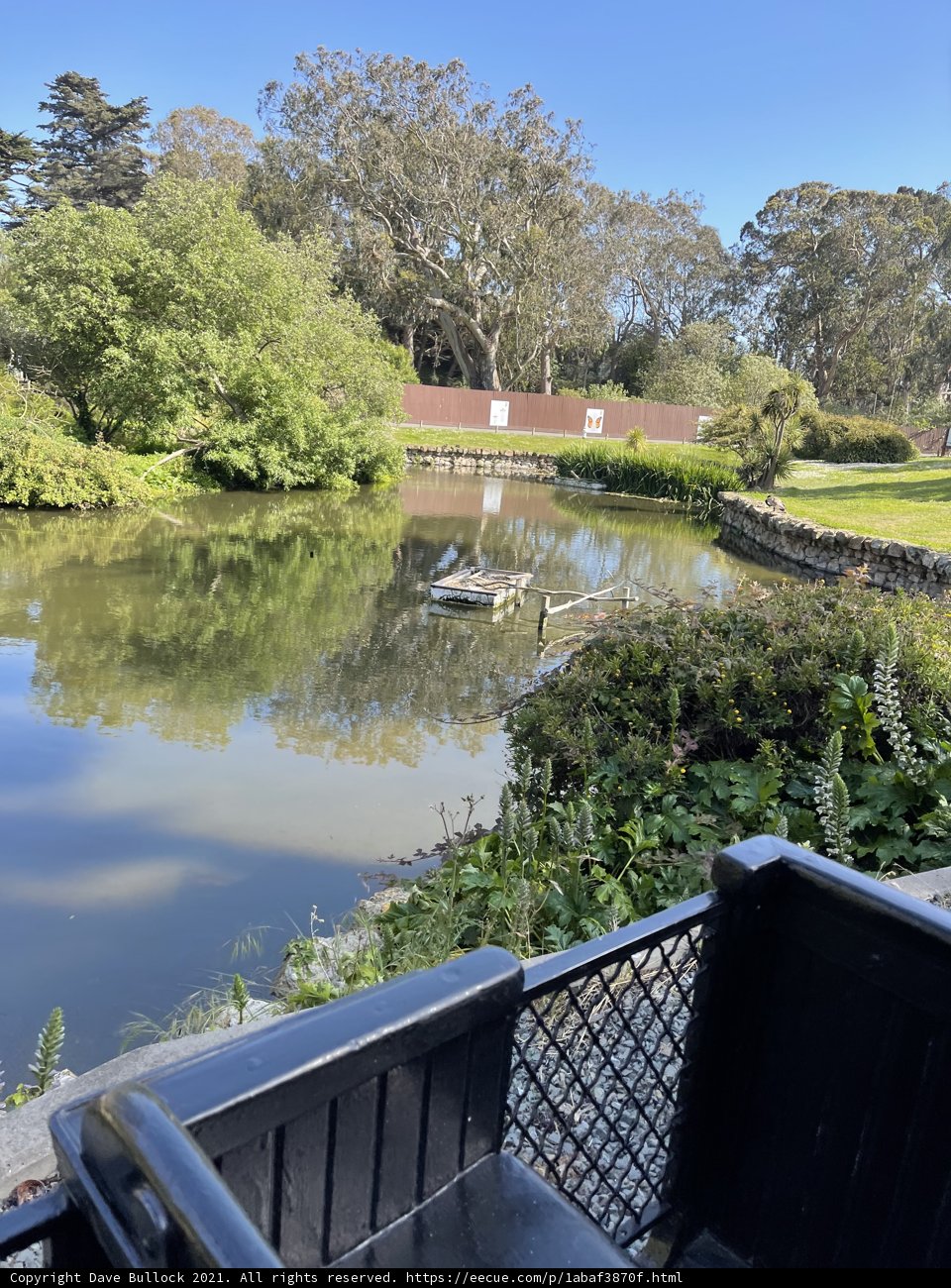 Tranquil Pond and Dock at the San Fransisco Zoo