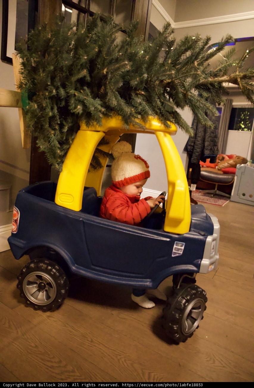 Wesley's Festive Drive: A Christmas Adventure