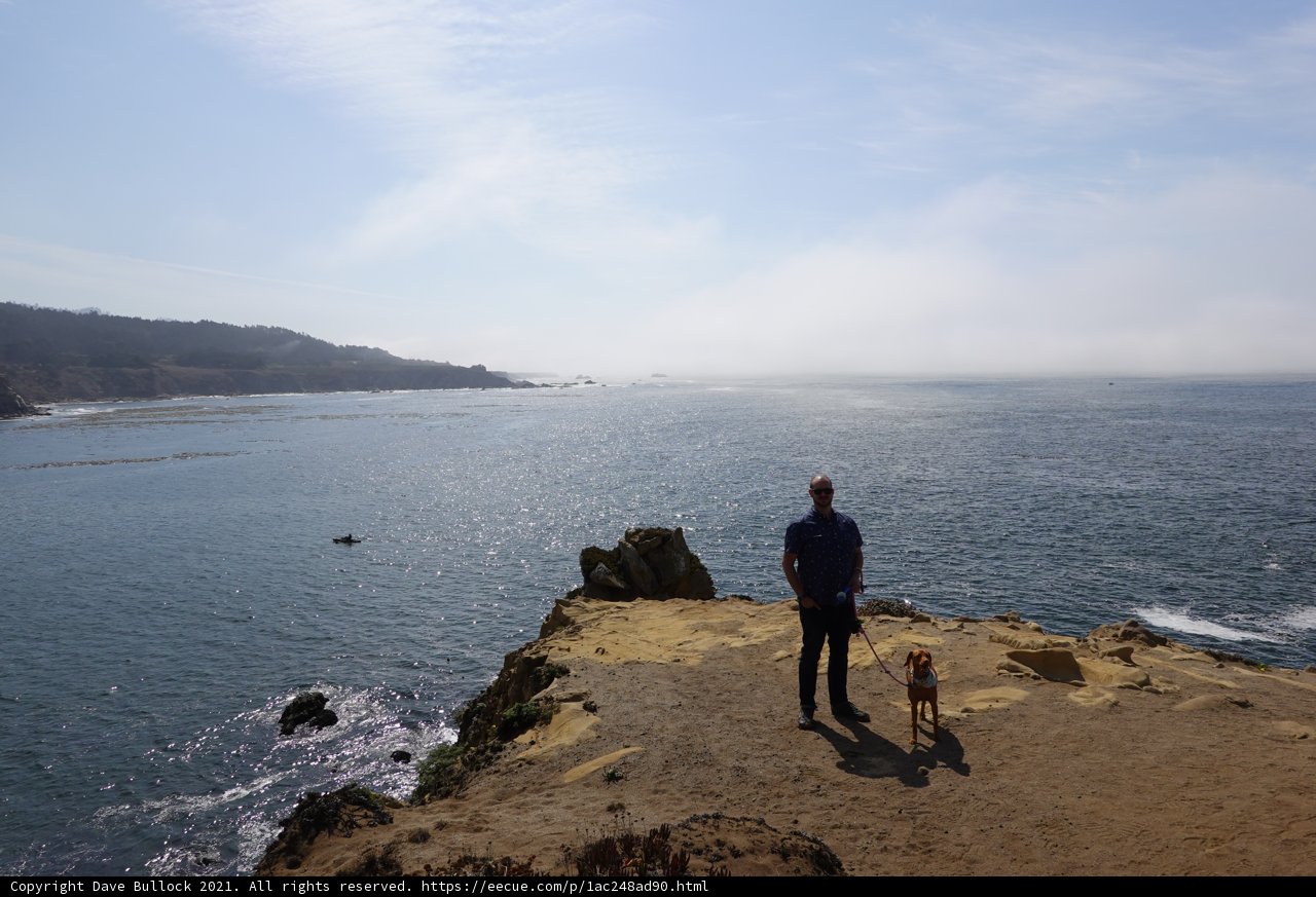 Cliffside Companions