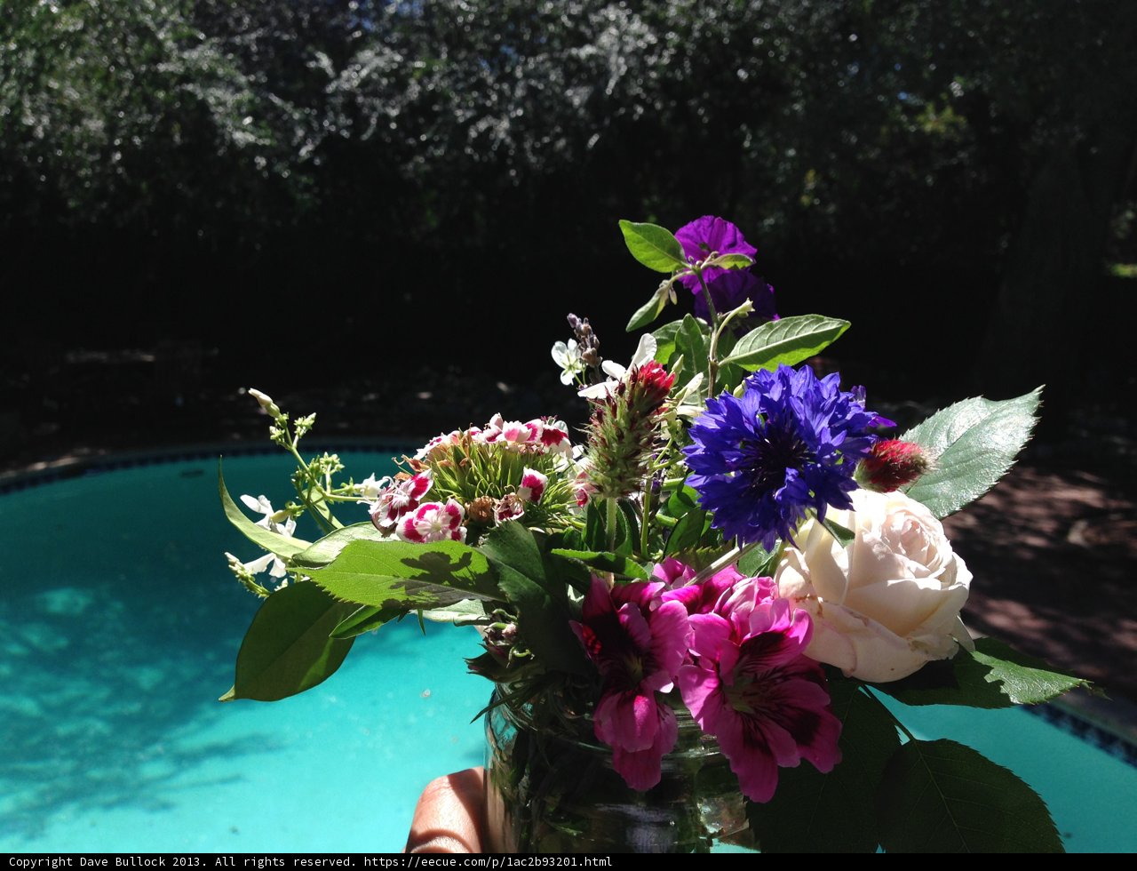 Poolside Flower Arrangement