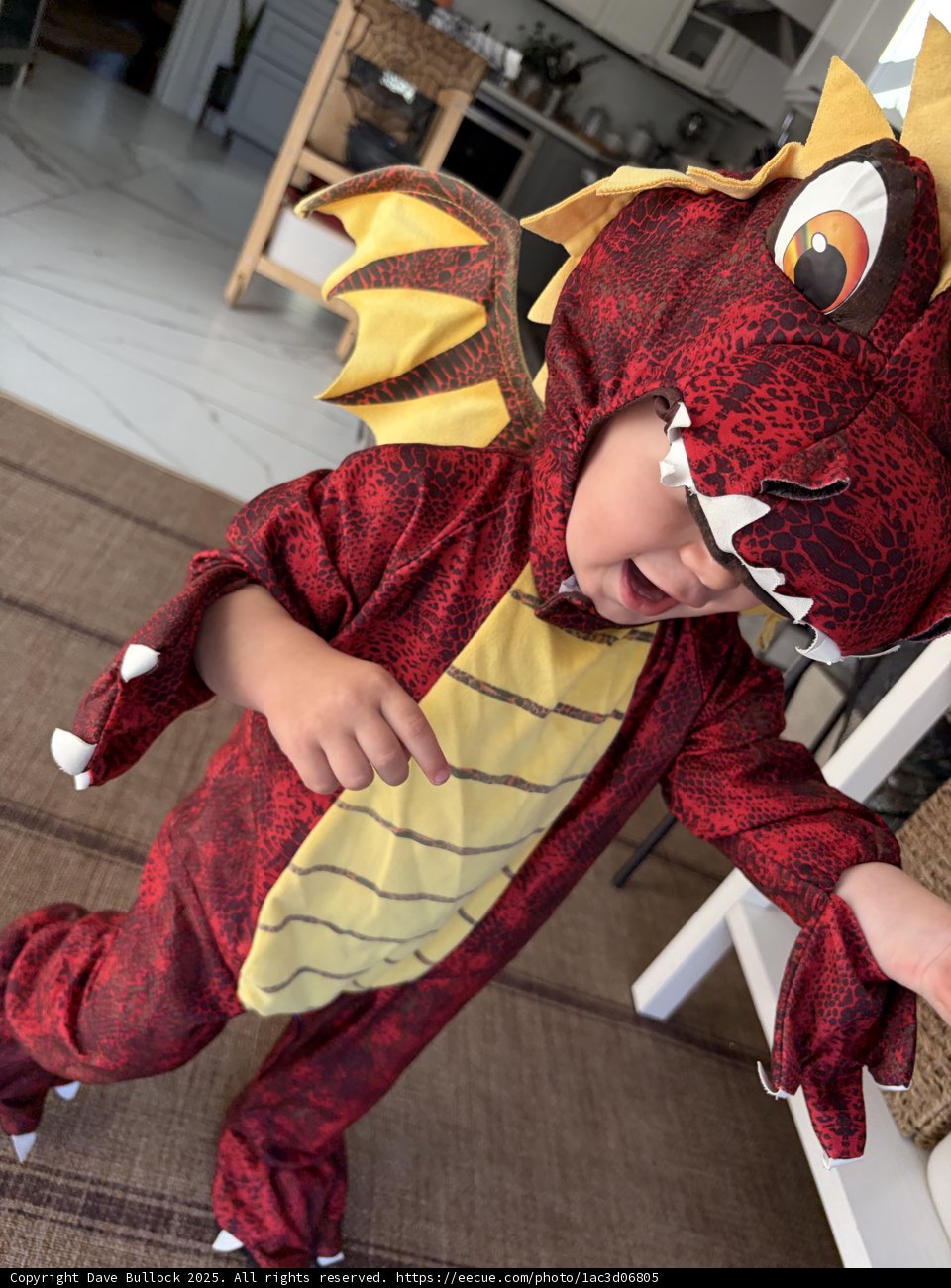 Tiny Dragon's Day In