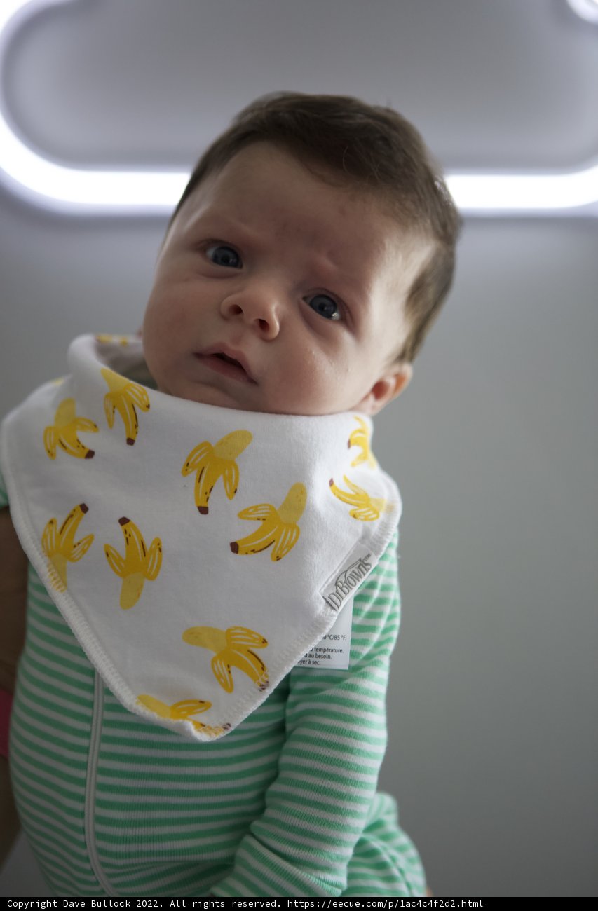 Banana Baby