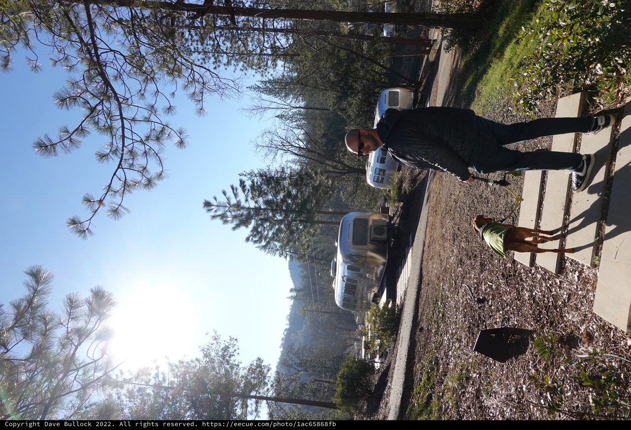RV Camping Adventure with Dog Companion