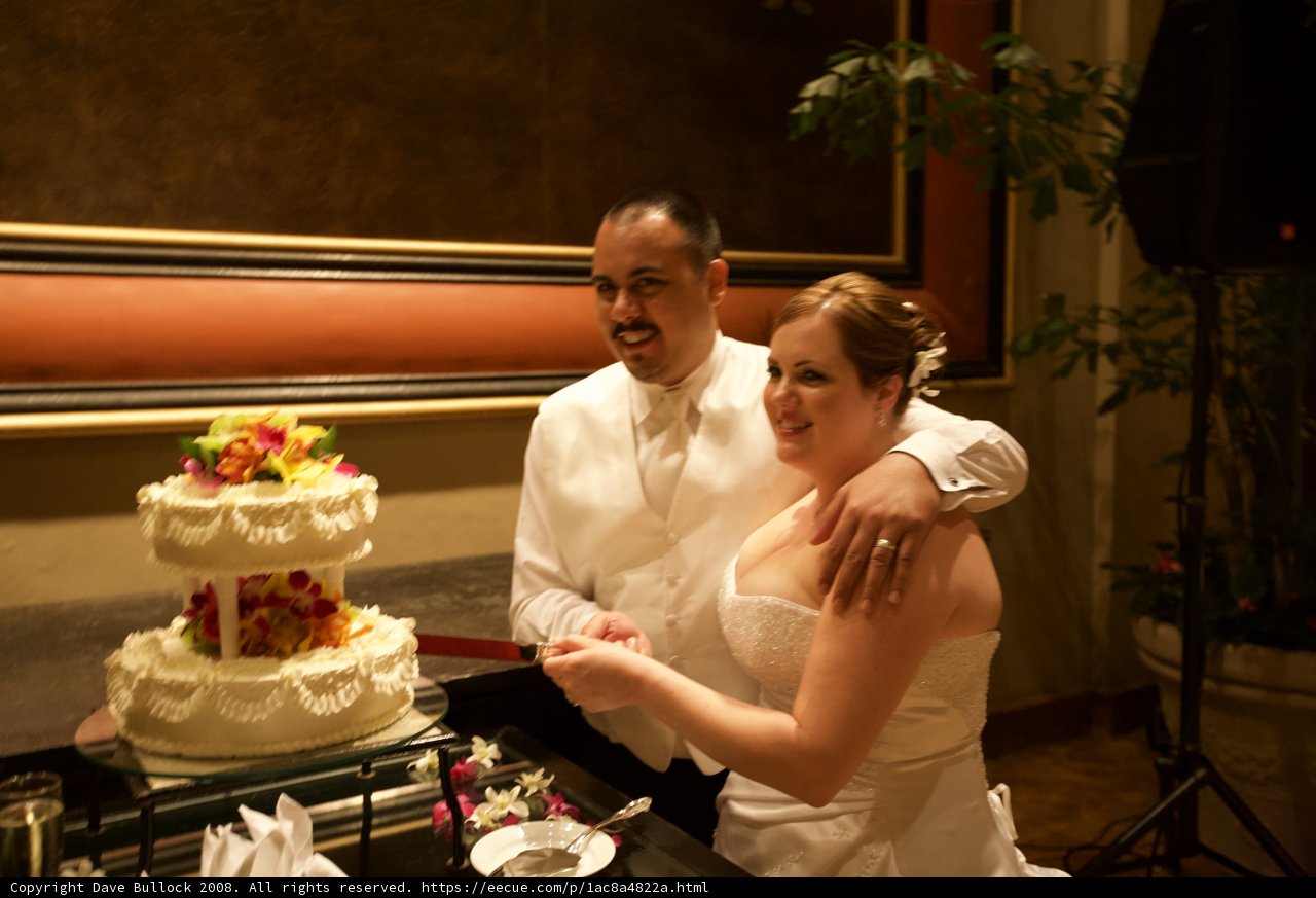 Cutting the Wedding Cake