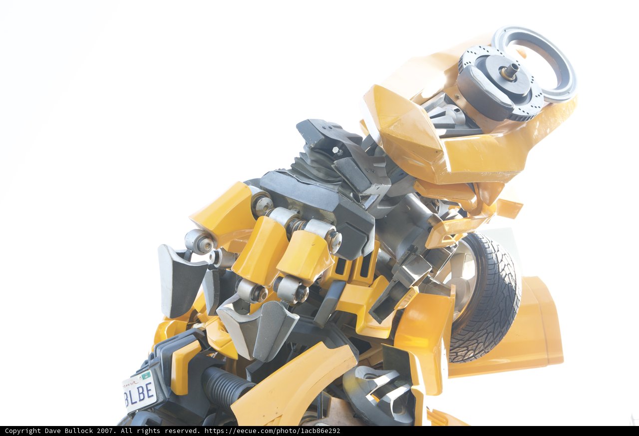 Bumblebee Bot