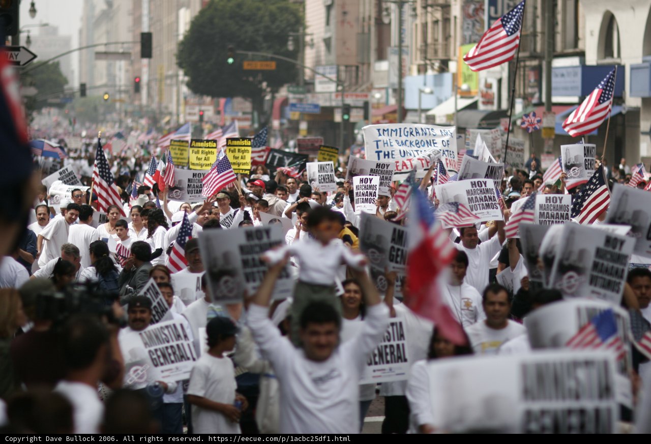 Patriotic Protesters Marching for Change
