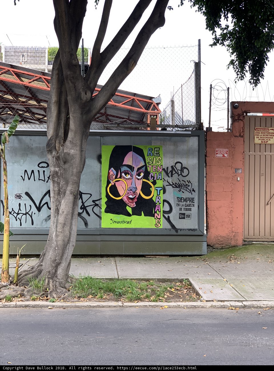 The Green Mural on the Tree