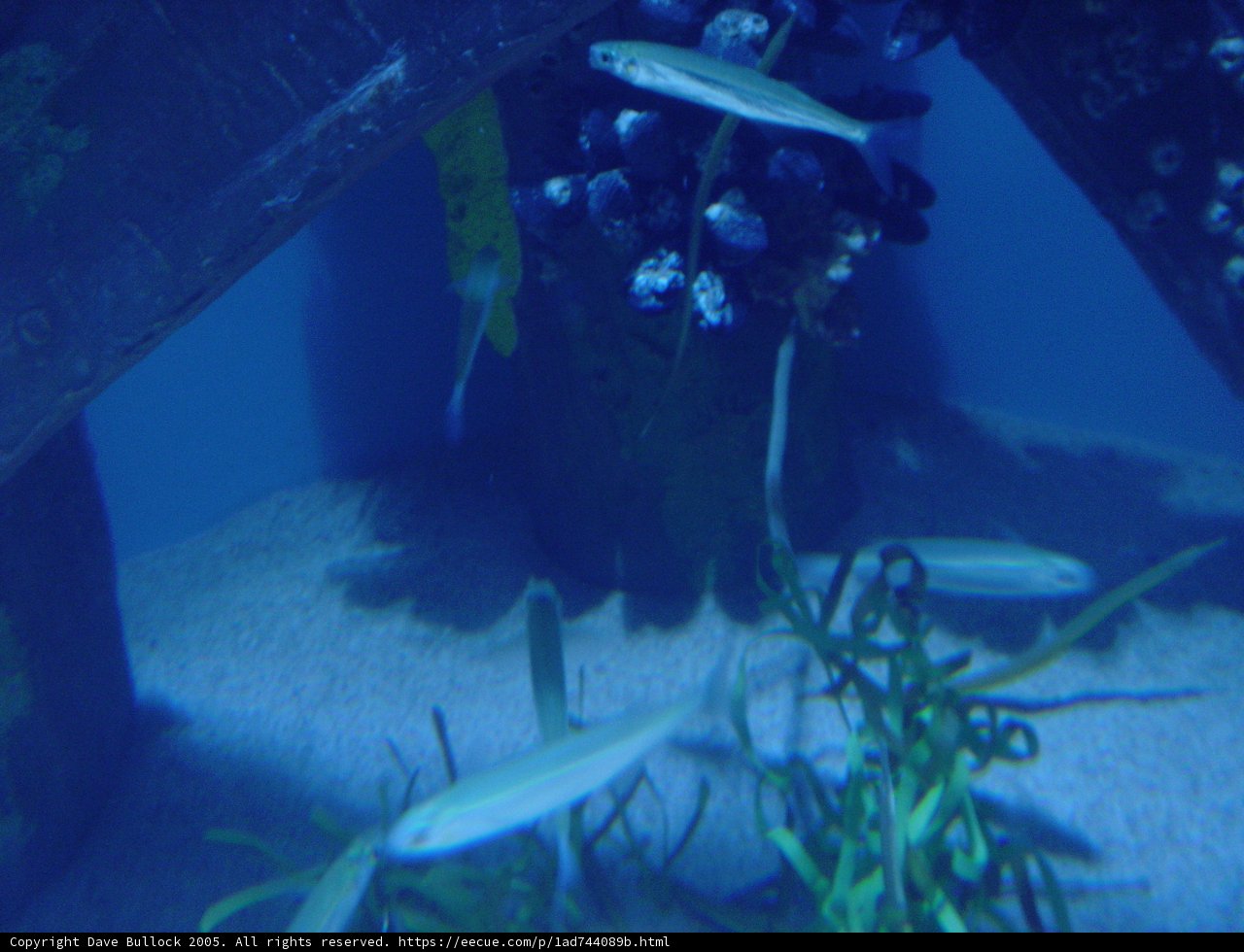 Underwater World