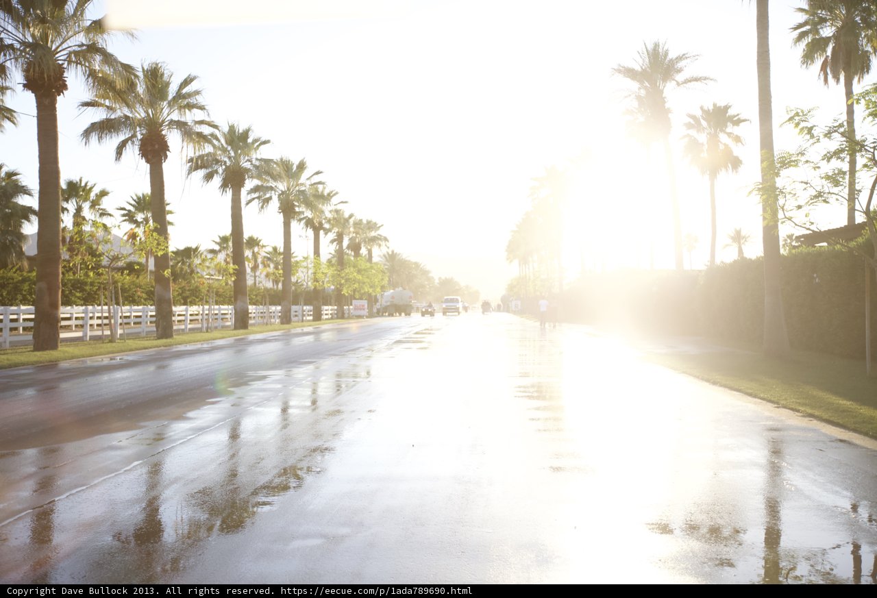 Shimmering Summer Drive