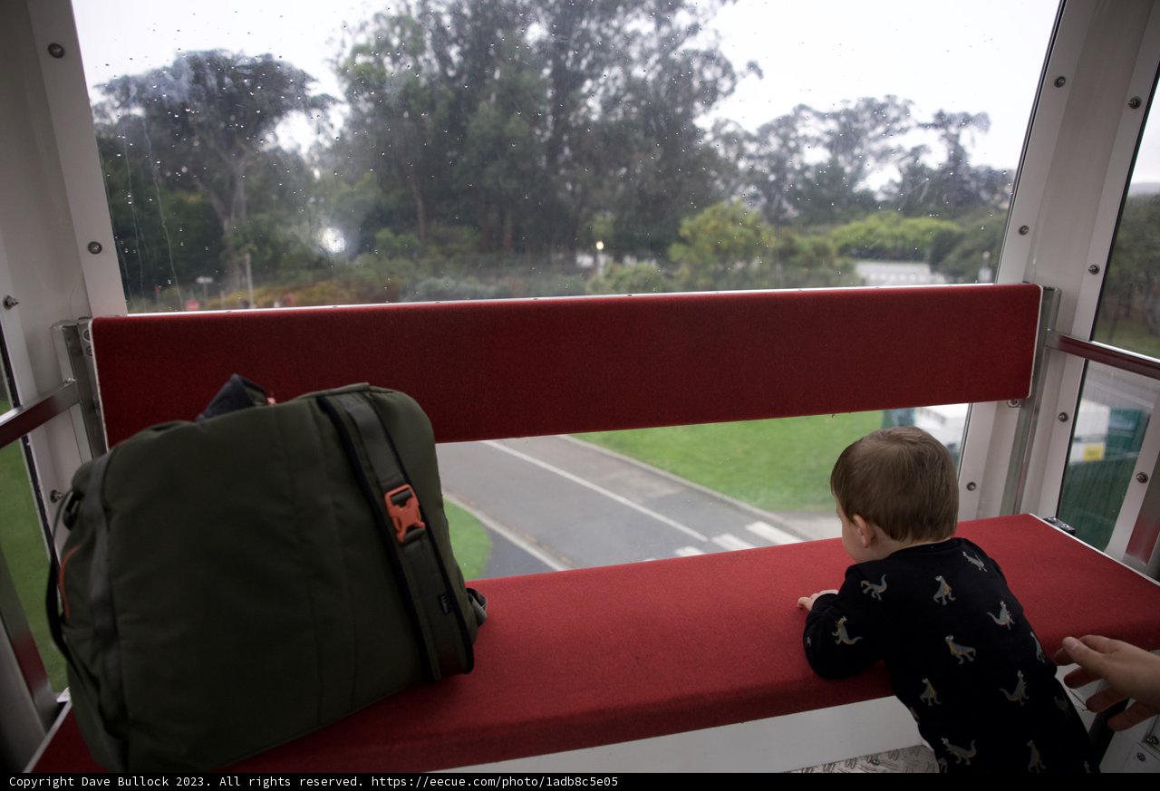 Leisure Moment at Golden Gate Park