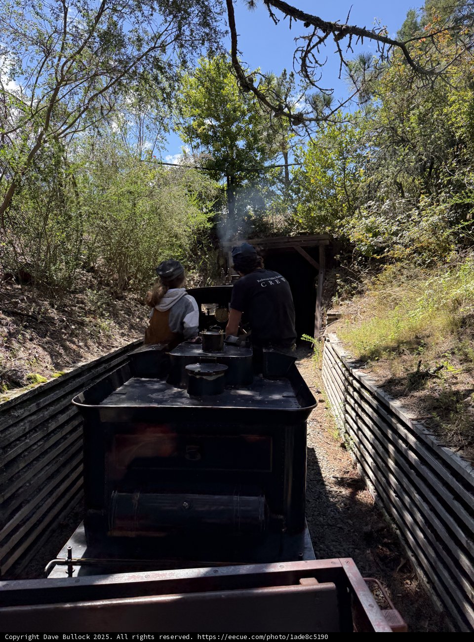 Journey Through Nature