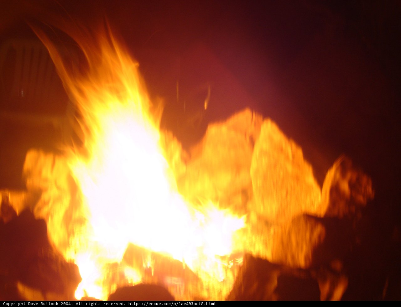 Burning Bright