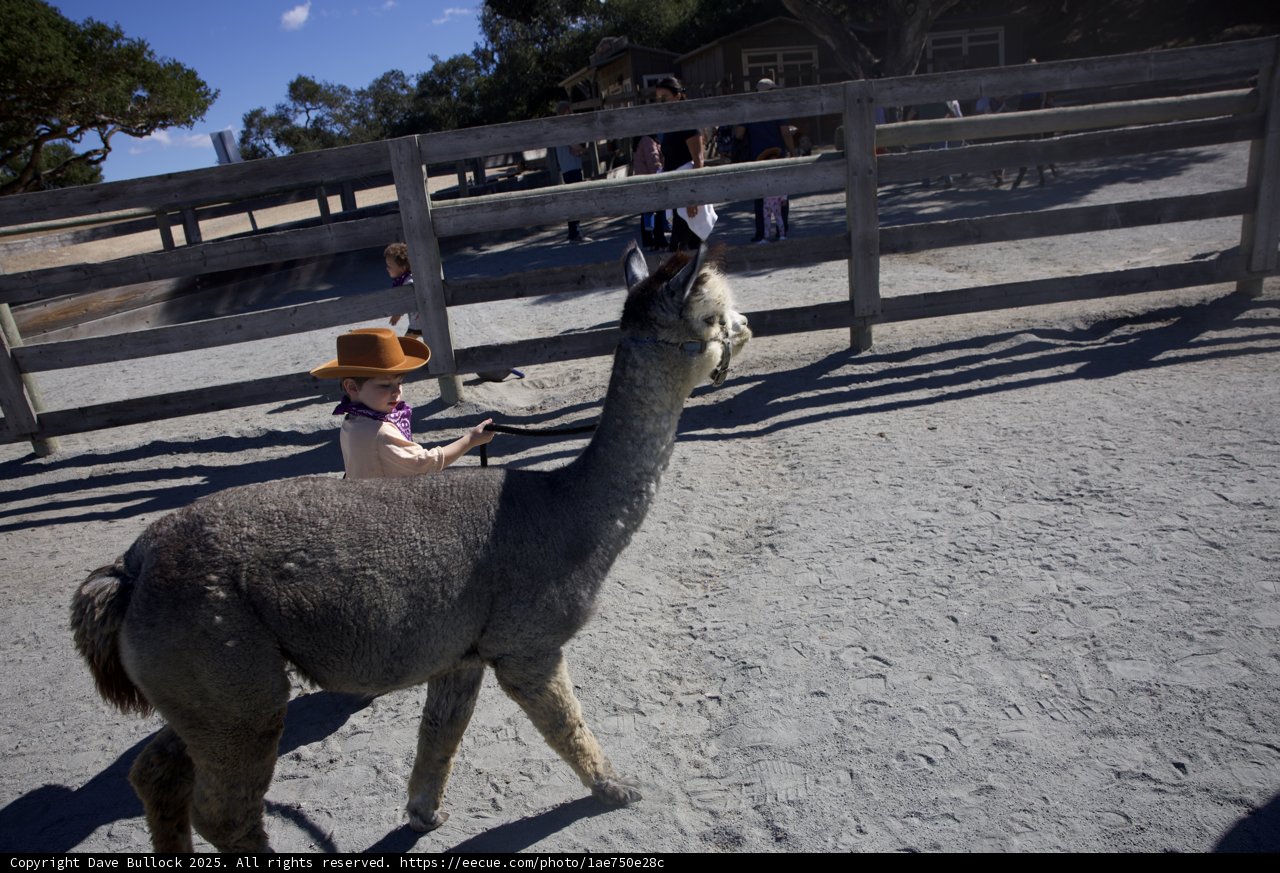 Little Ranchers’ Day Out