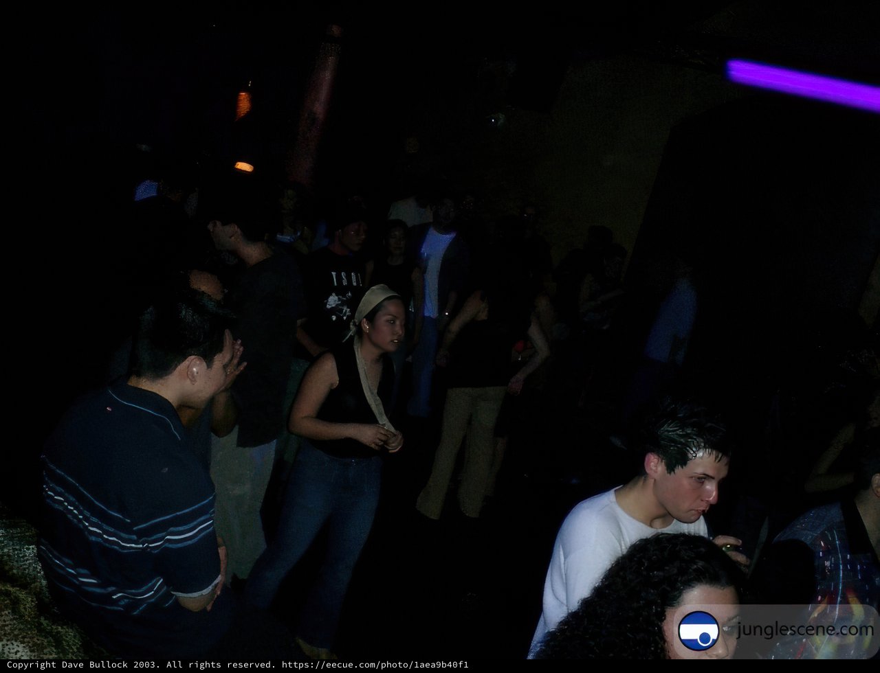 Nightclub Gathering