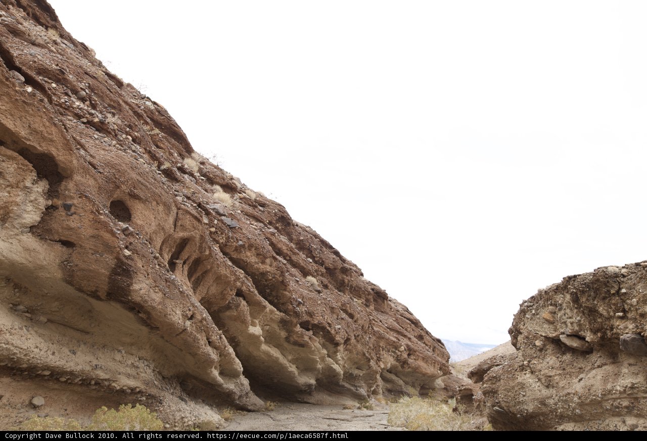 Desert Trekker