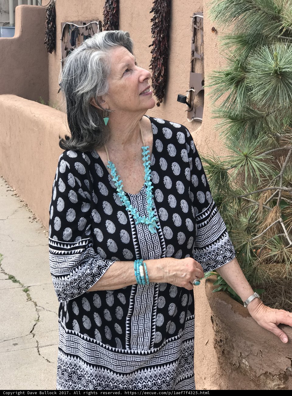 Turquoise Accented Style