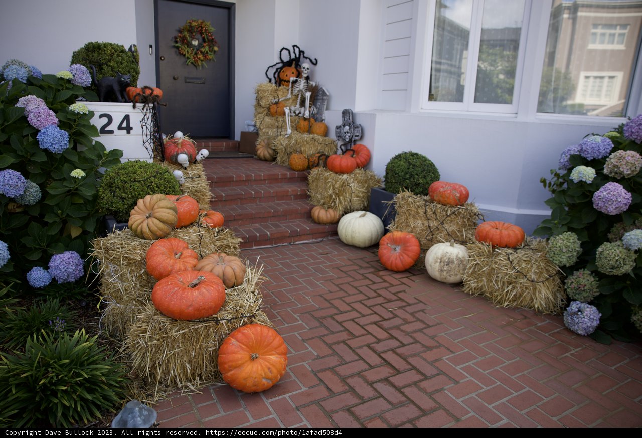 Harvest Hues: A Homestead's Halloween Welcome