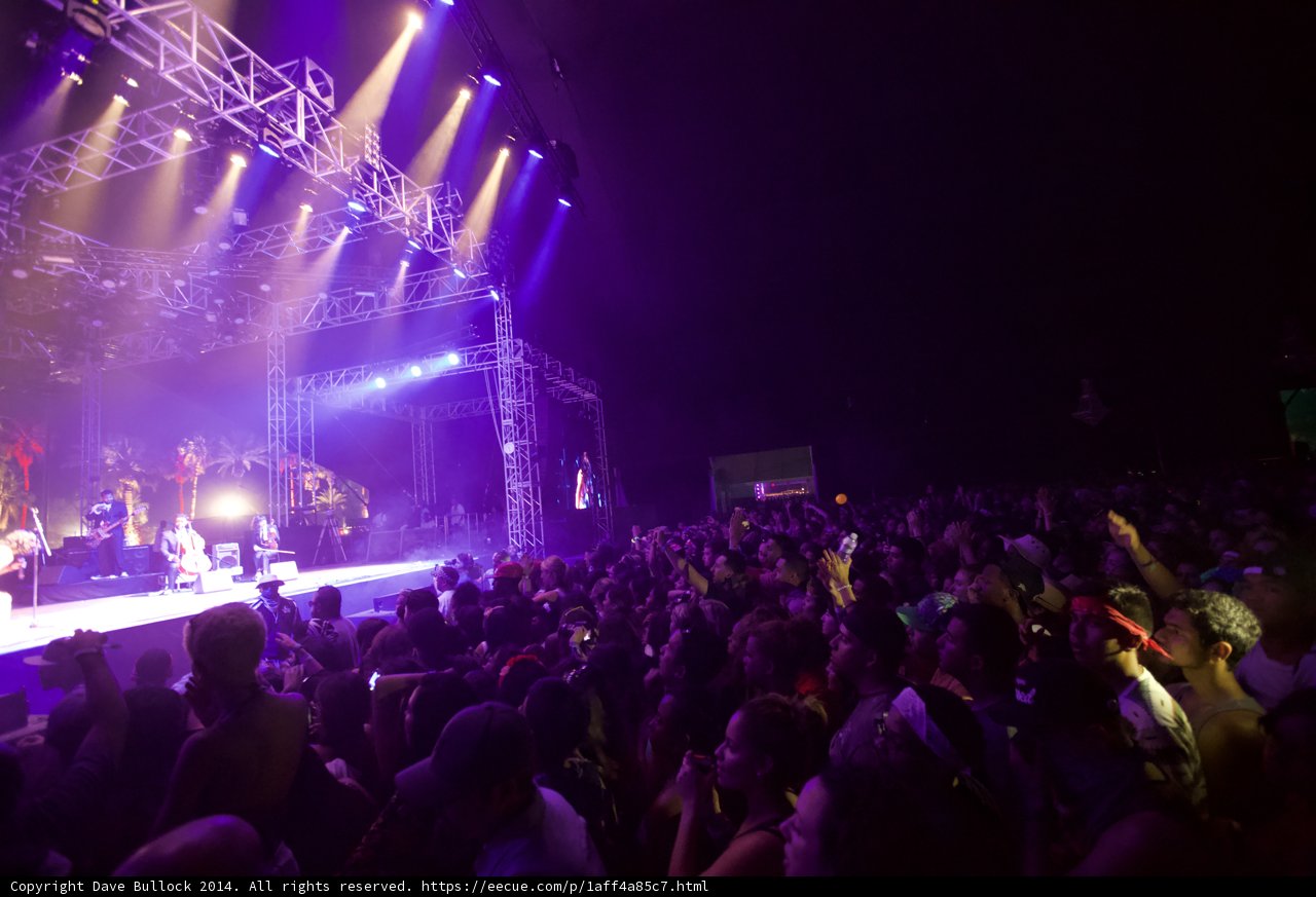 Purple Haze Concert