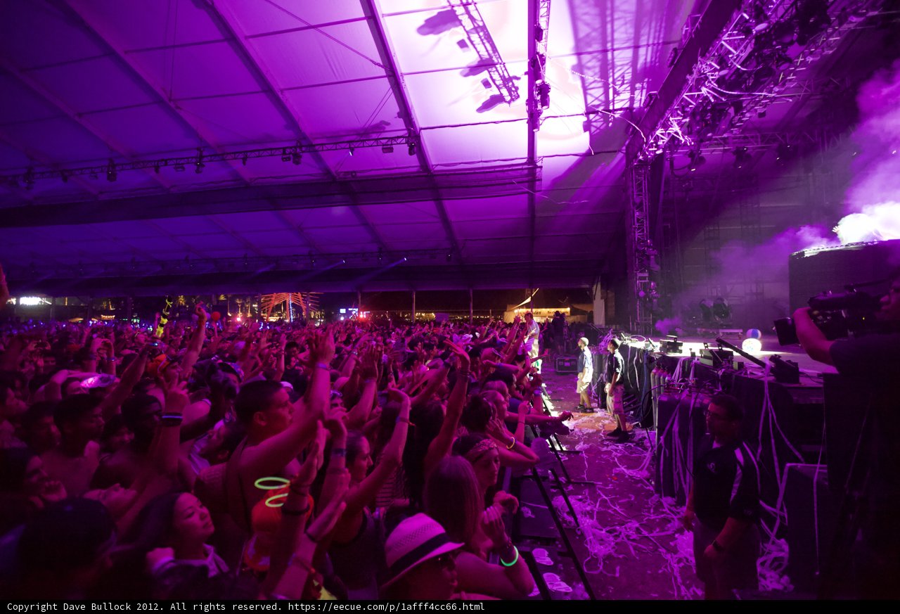 Purple Haze Concert