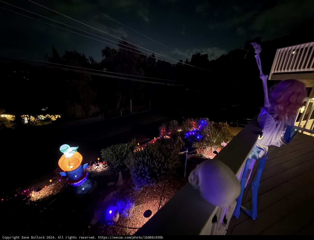 Eerie Glow in the Night Garden