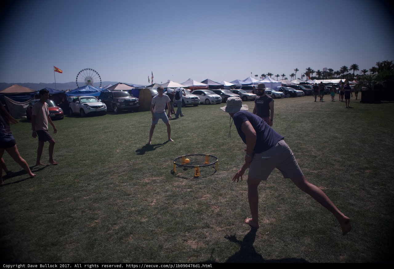 Frisbee Fun in the Field