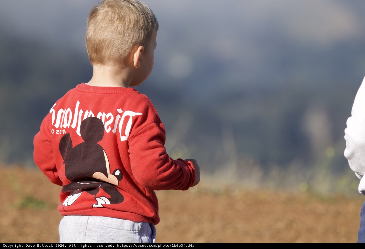 Young Boy Gazing at Mt. Diablo Wilderness in Disney Sweater
