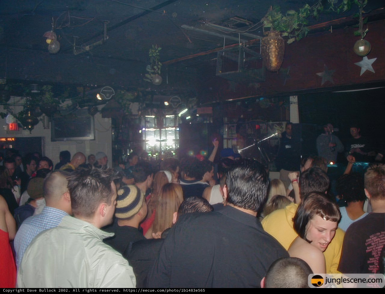 Nightclub Madness