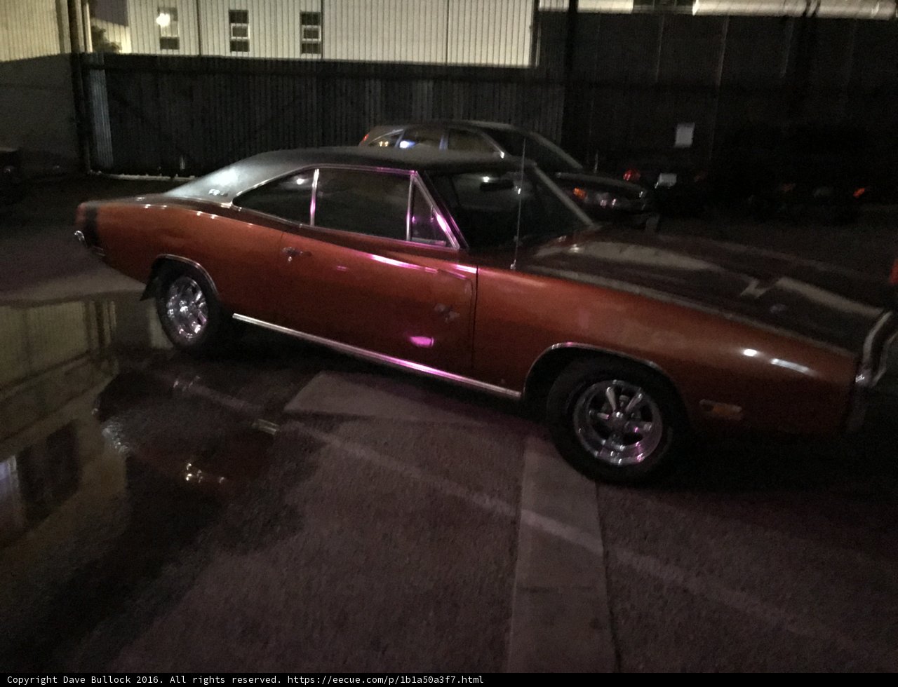 Brown Beauty in LA