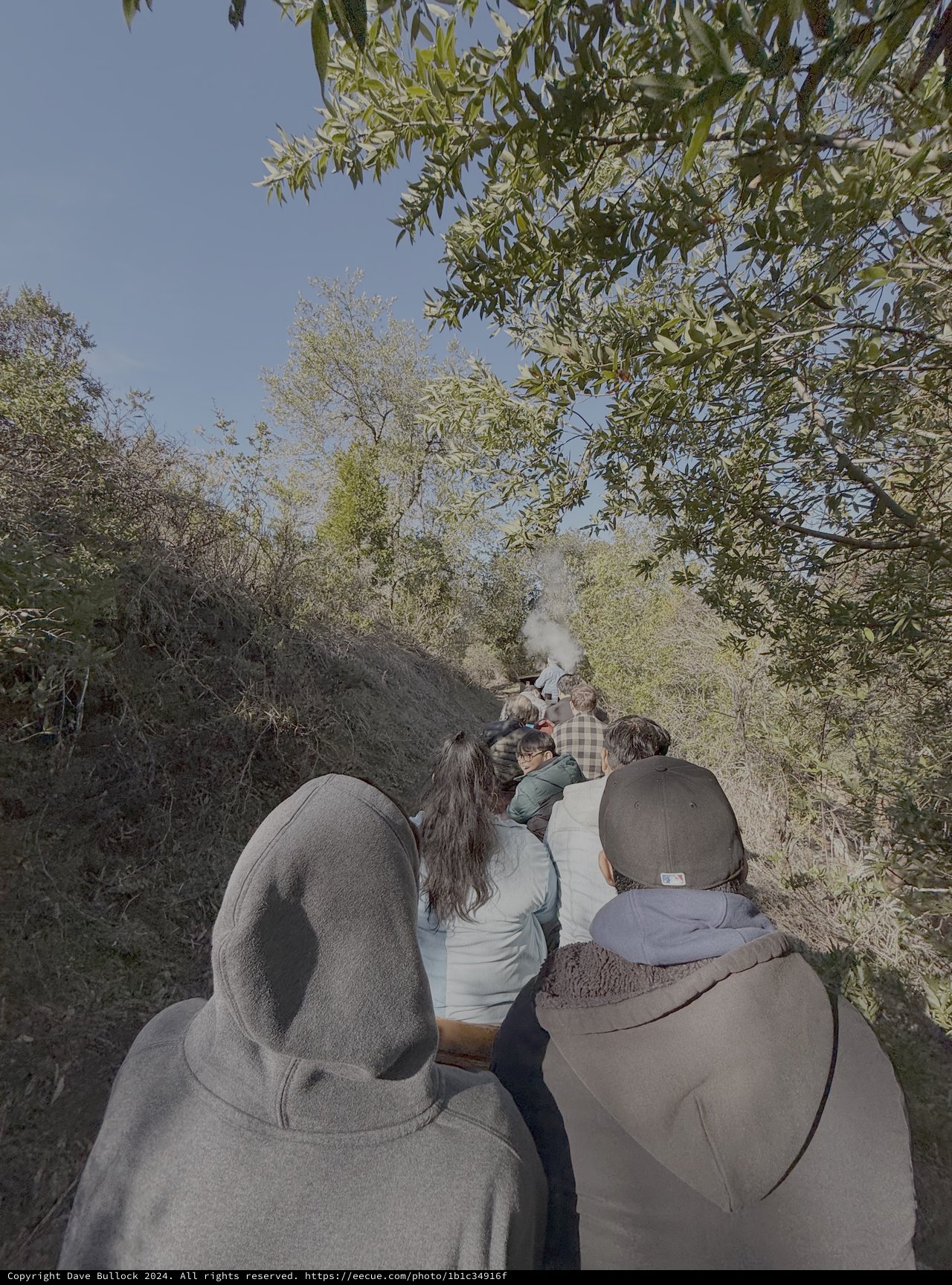 Group Wildlife Safari Observation in Natural Setting