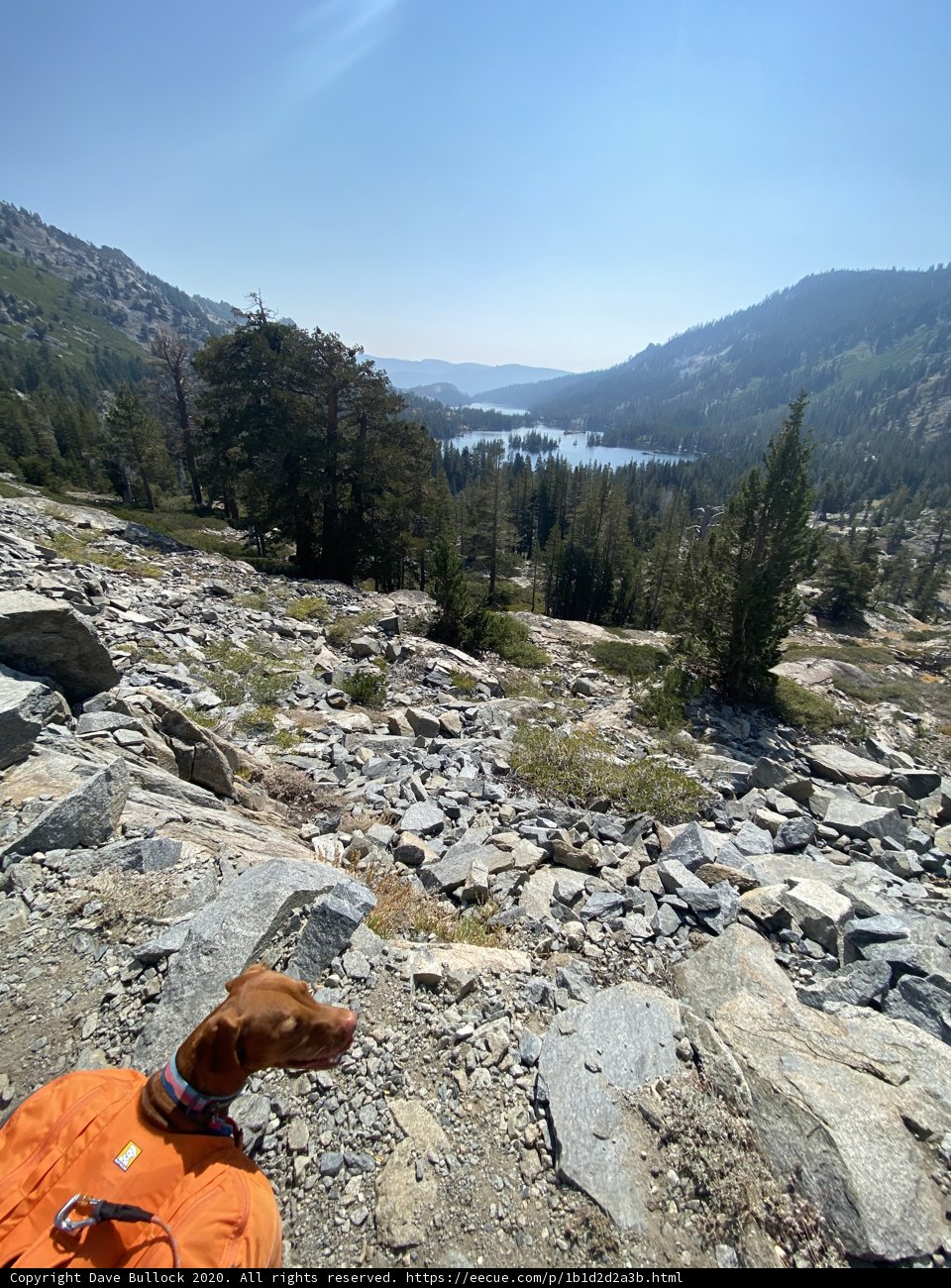 Orange-Shirted Hiking Companion