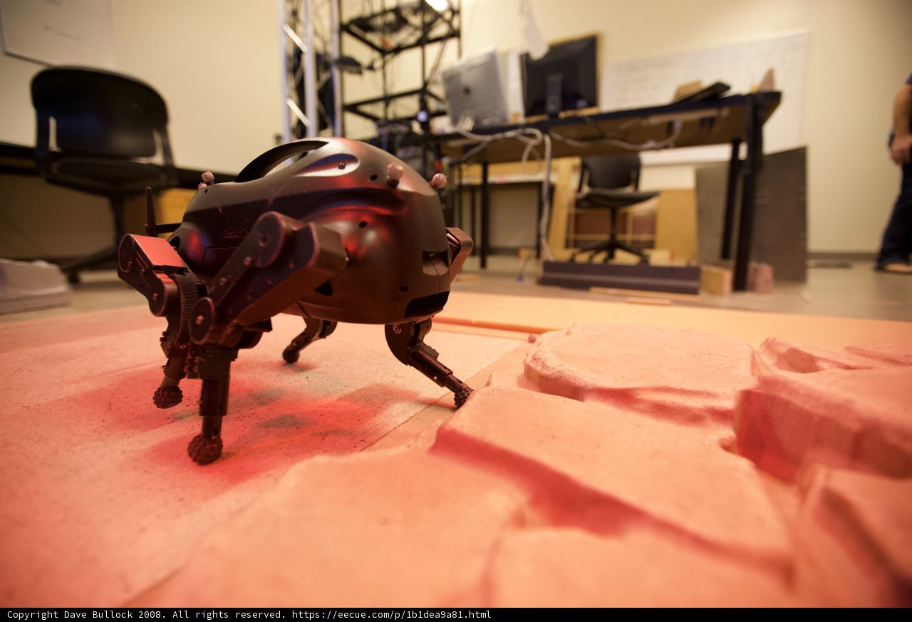Robotic Walk on Red Flooring