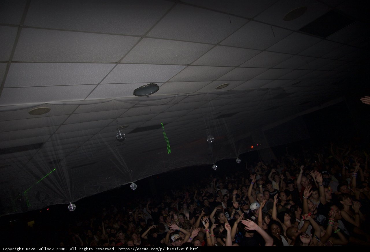 Electric Night at the Club