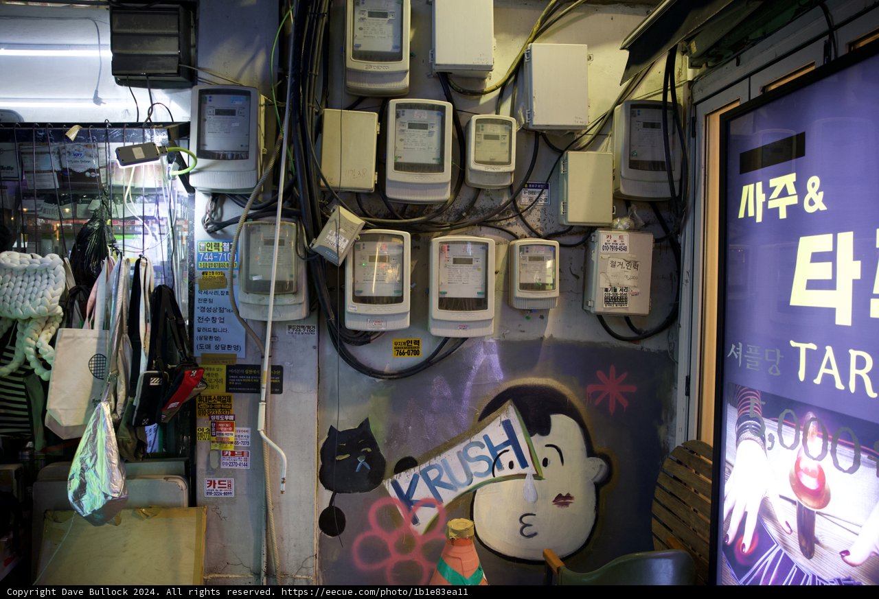 A Techie's Haven: Electrical Innovation in Korea, 2024
