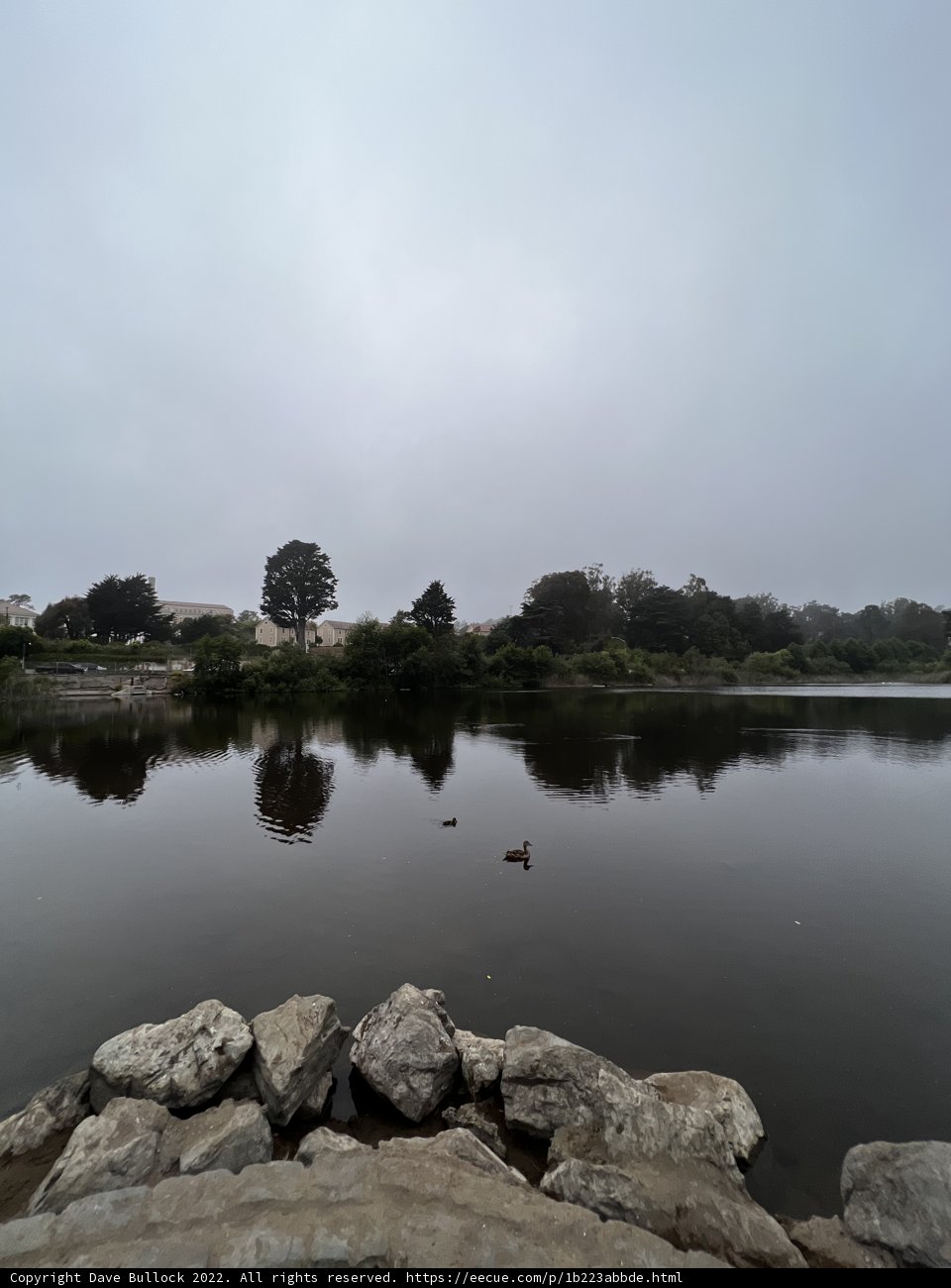 Tranquility at Mountain Lake