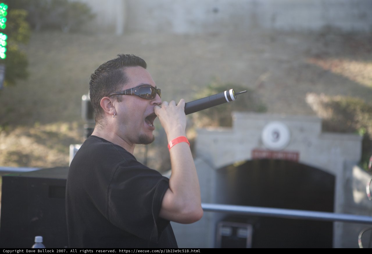 Sunglasses Serenade