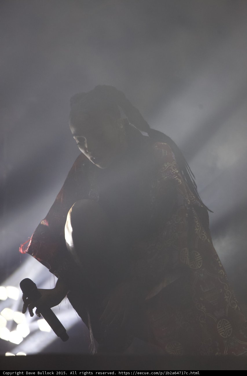 FKA twigs Silhouette Profile Microphone Low Red Brocade Kimono Gold Patterns Backlit Heavy Haze