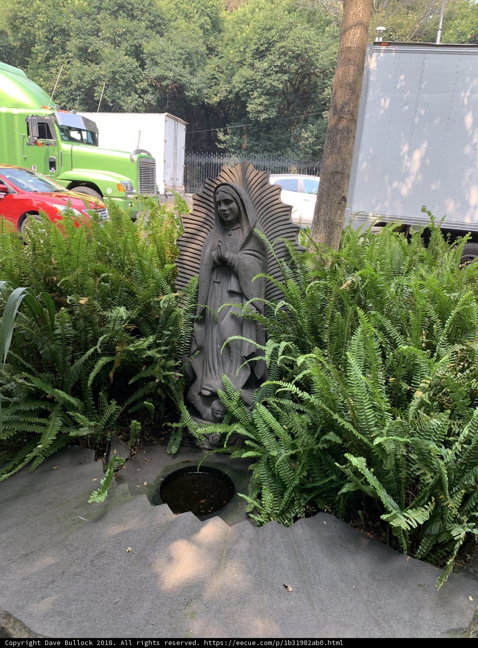Virgin Mary Statue in Garden