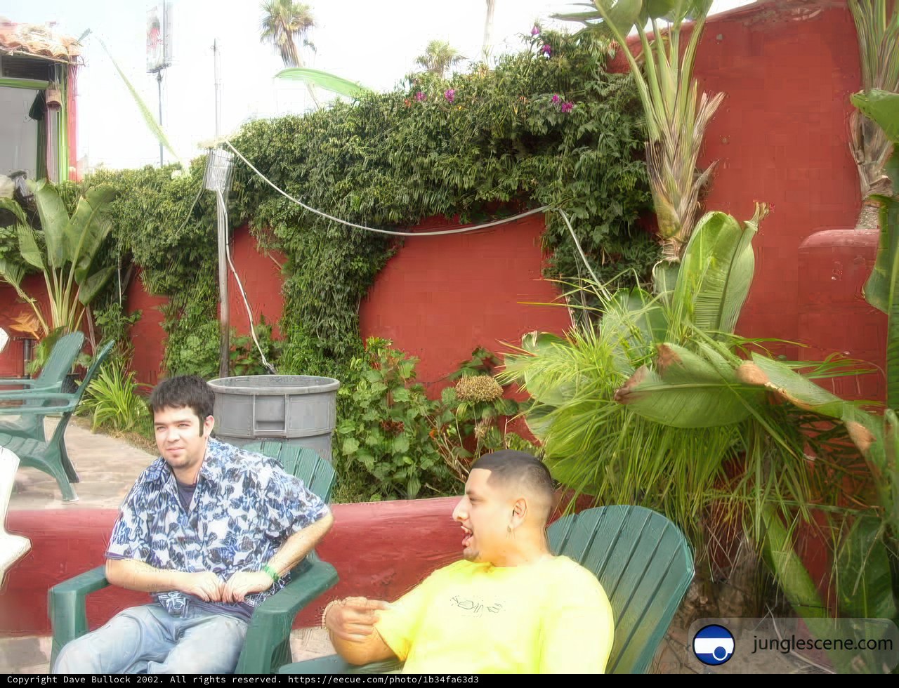 Relaxing in the Backyard