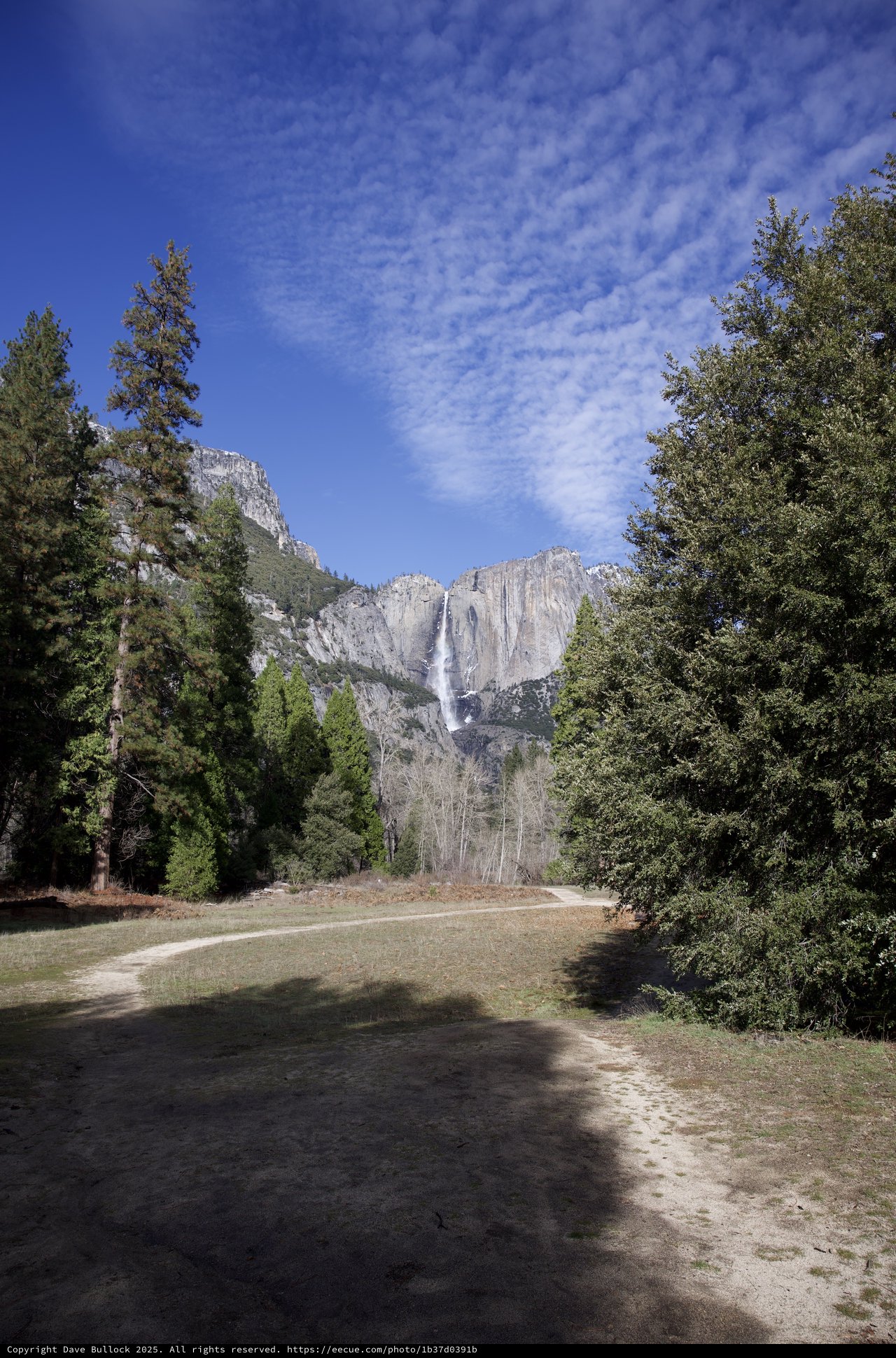 Yosemite Falls Framed by Meadow and Forest