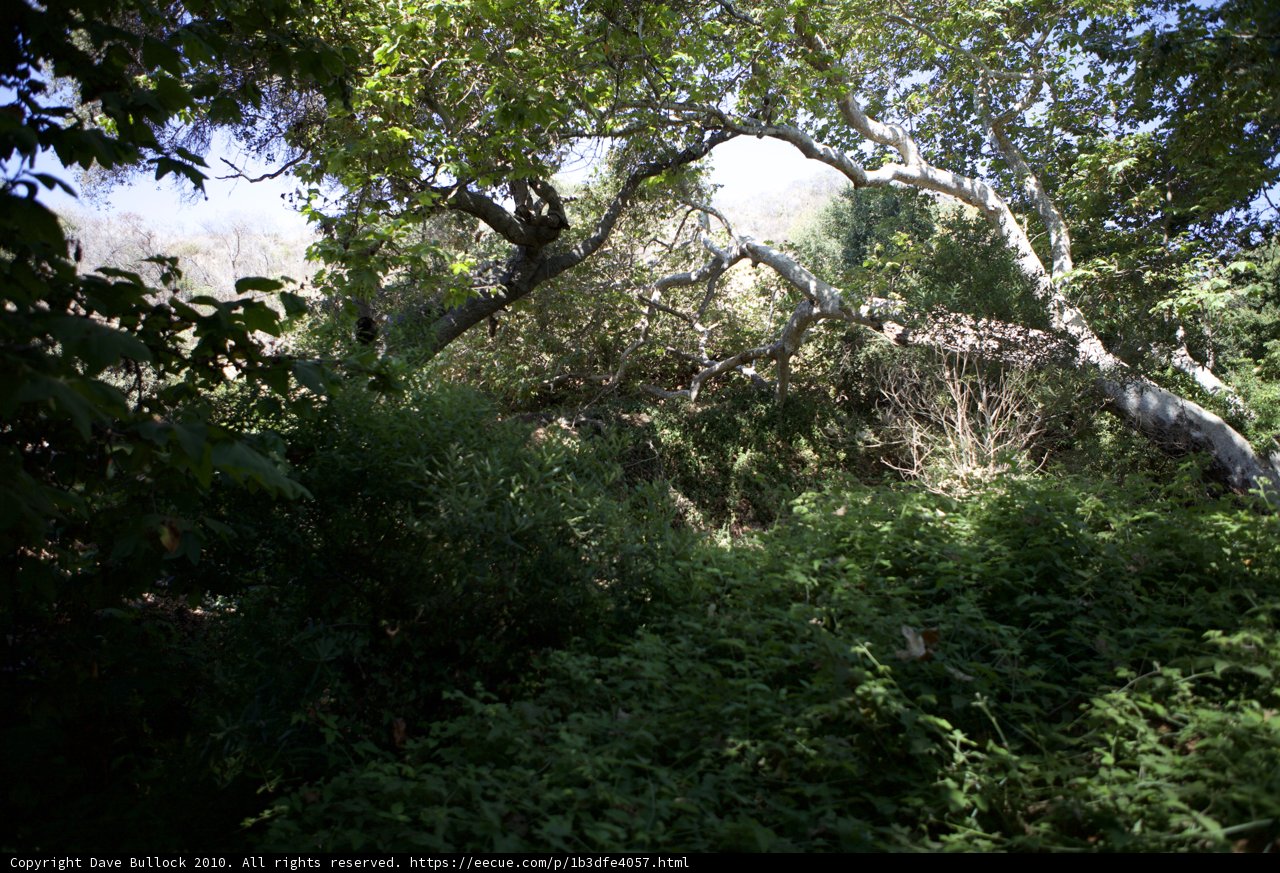 Nature's Abode
