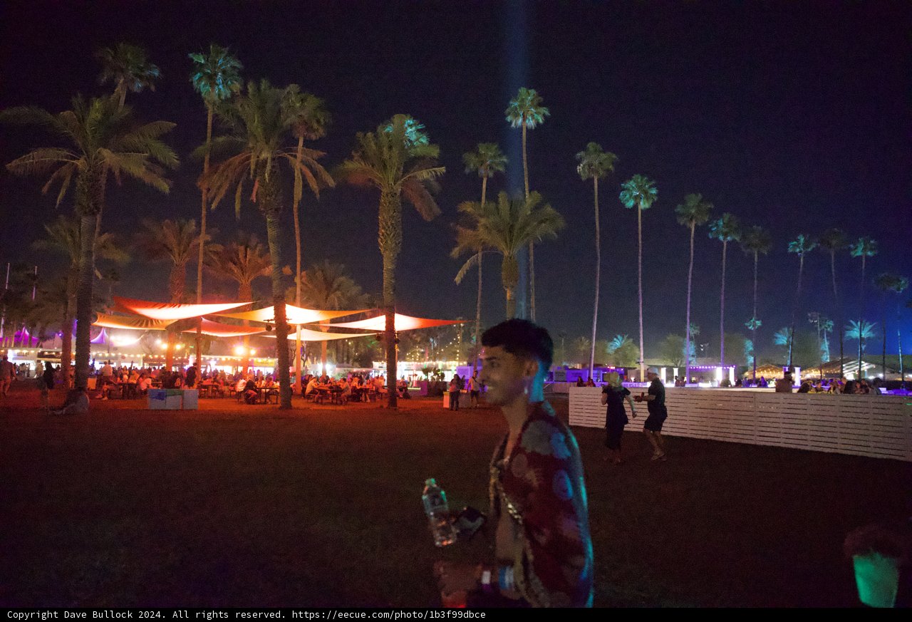 Night Vibes at Coachella 2024: Palms and Illuminated Tents