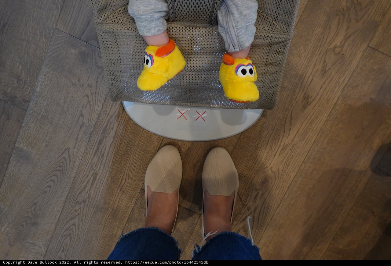 Parent and Child in Yellow Duck Slippers
